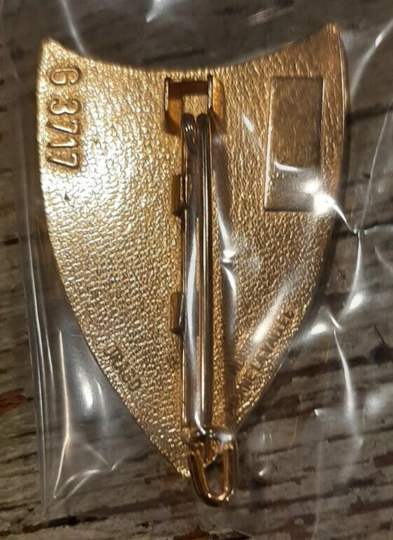 Insigne 41° RT RÉGIMENT TRANSMISSIONS Grand modèle 42 mm ORIGINAL DRAGO G 3717 - Photo 2/4