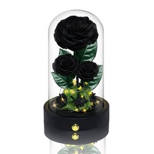 3 Preserved Flowers Roses in Glass Dome for Beauty and The Beast Decor Real R...