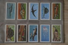 Brooke Bond "Wonders of Wildlife" (1976) - Set of 50 cards in VG condition