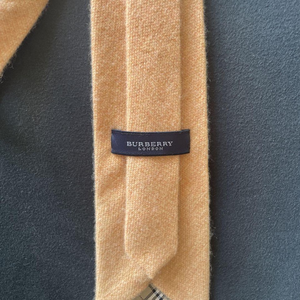 Burberry Orange Tie eBay