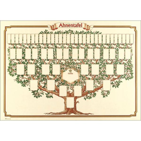 Thumbnail - Schmuck-ahnentafel 'skizzierter Baum', 70 X 50 Cm Rnk Verlag 2808