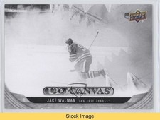 2024-25 Upper Deck Extended Series UD Canvas Black Jake Walman #C262 READ 5x5