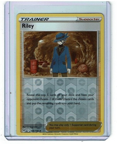 りん 樣 專用 辛俐 スケルトン版 アウトレットネット - vidaclube.com.br