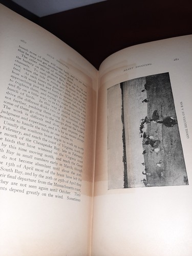 American Duck Shooting George Bird Grinnell Hardcover 1901 - Picture 7 of 11