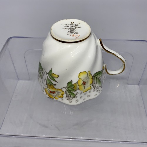 SALISBURY Tea Cup and Saucer Bone China Floral Painted Gold Trim - Picture 9 of 11