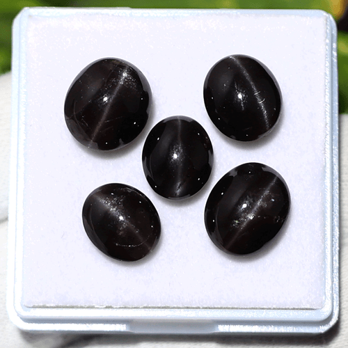 Asterismo Estelar ~ 5 piezas Diópsido Natural Ojo de Gato 10mm-12mm Raras Cabujón Gemas - Imagen 8 de 10