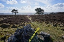 Photo A2 Pine trees and cairn Wardlow/SK1874 On a path on the high grou c2014
