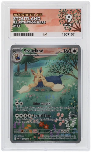 Stoutland 156/086 ACE graded card