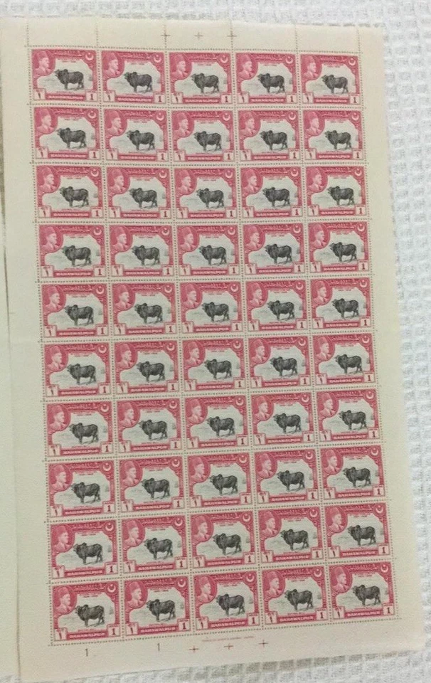 1949 BAHAWALPUR STATE Jubileo de Plata 4 Hojas Completas 50 Juegos 200 Estampillas MNH...! Foto 3 de 4