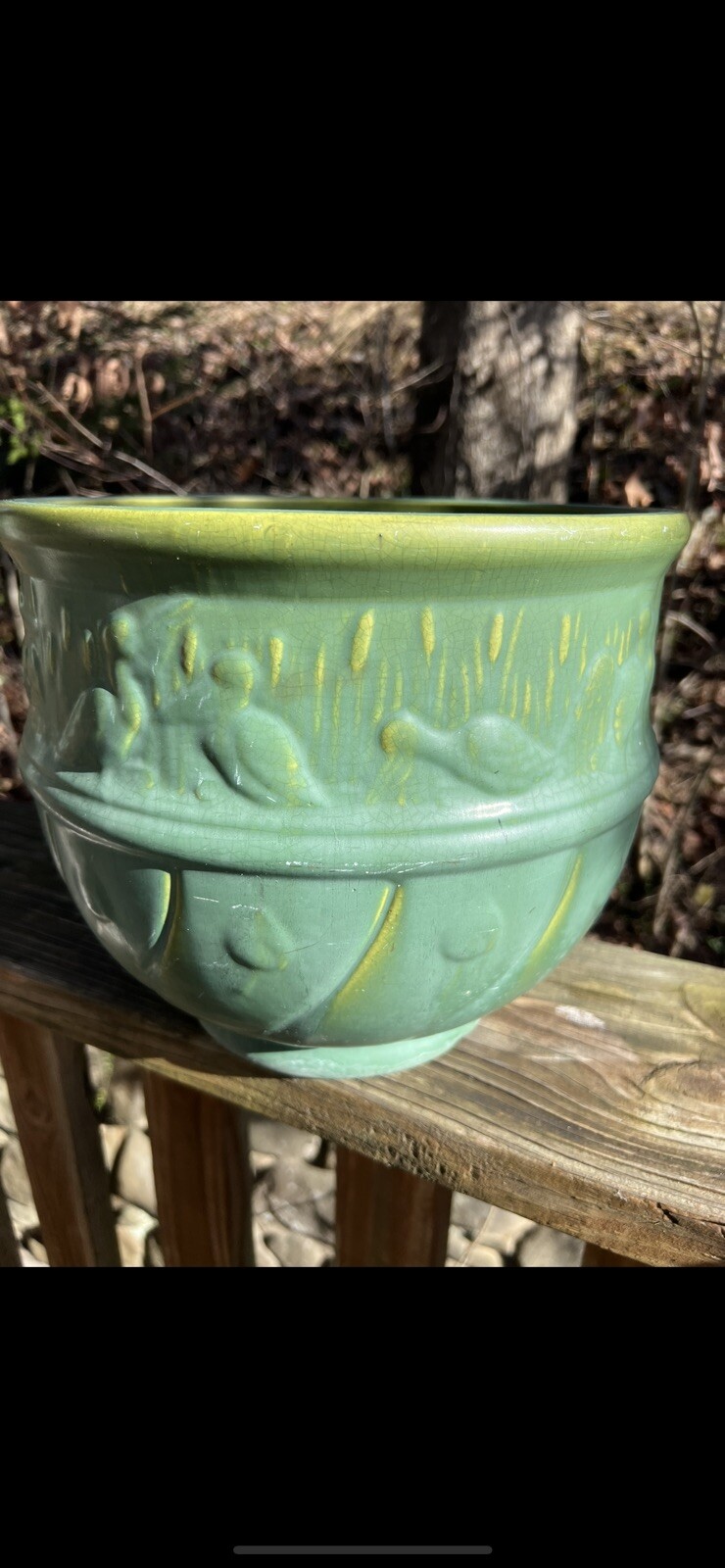 Picture 2 of 6