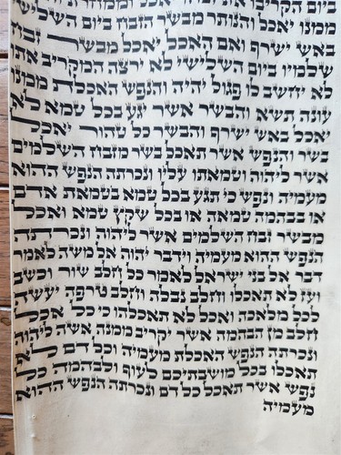 TORA ROLLE FRAGMENT HANDSCHRIFT auf VELLUM antike BIBEL LEVITIKUS 7:4-7:27 - Bild 3 von 6