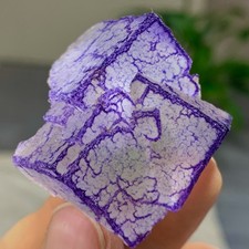 41G Natural Purple