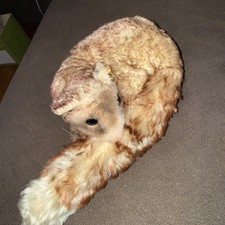 Steiff Dormy Lying Dormouse 1966-67, Brown Mohair, 10 Inches, Ear Button 59