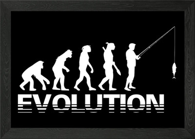 Evolution gerahmtes Wandbild Poster Leinwanddruck Bild