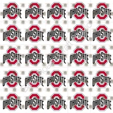 Ohio State Waterslide Nail Art Decals Set Of 50 Instructions Bonus JH