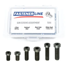 FastenerLine Small Fillister Head Torx Gun Screws Assortment (120 Pieces)