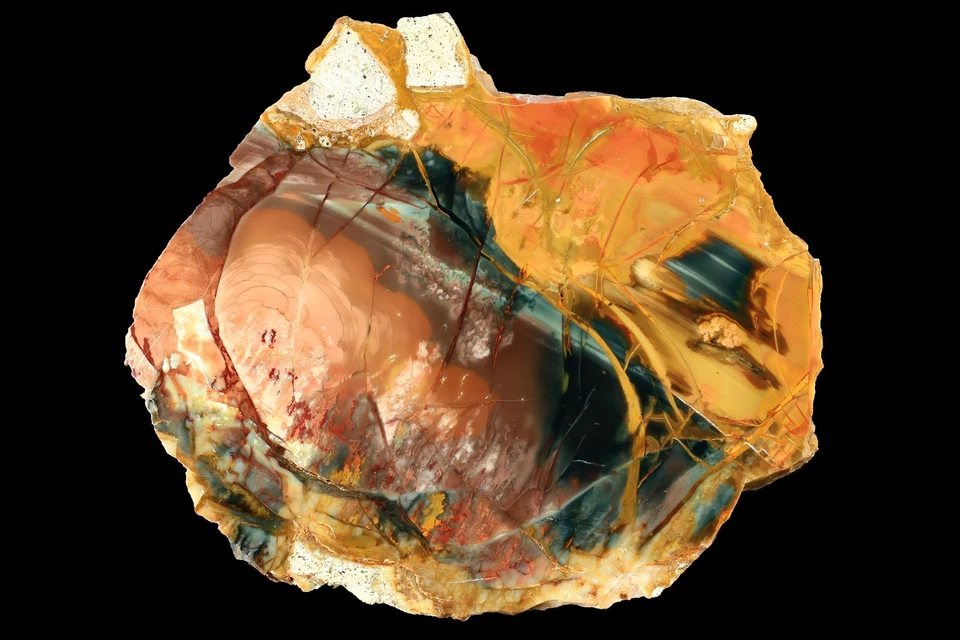 Morrisonite Picture Jasper Oregon Orbicular Old Stock Jasper Slab Polished - Image 2 of 2