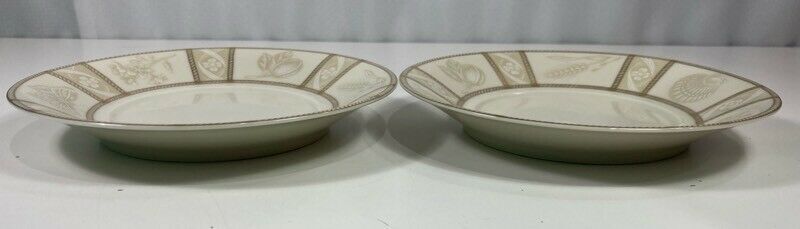 2 Mikasa Fine China Saucer Plates Nature's Theme Nancy Green Beige Gold Japan 6"