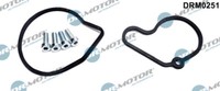 Dr. Motor Automobil DRM0251 Reparaturset, Vakuumpumpe (Bremssystem) FüR Audi