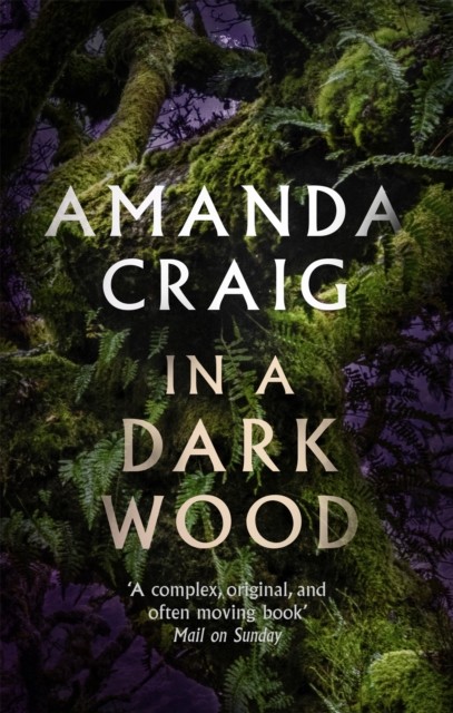 In a Dark Wood by Amanda Craig (Paperback Book)
