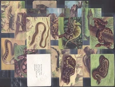 GRANOSE-FULL SET- AQUATIC & REPTILE LIFE 1957 (L16 CARDS) EXCELLENT
