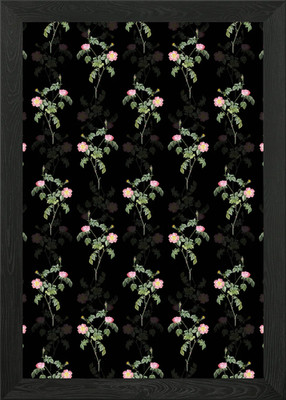 Pink Austrian Copper Rose Framed Wall Art Poster Canvas Print Picture