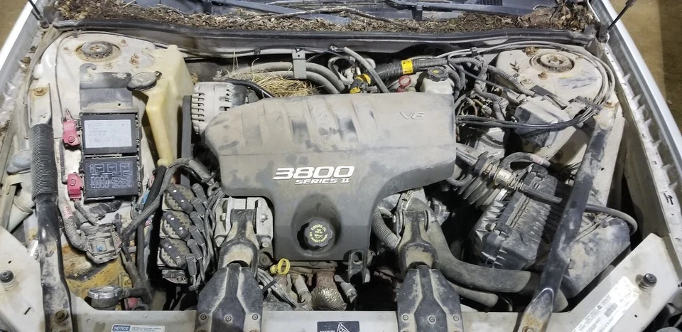 Stabilizer Bar Rear Soft Ride Suspension System Fits 97-07 GRAND PRIX 2116795 - Image 4 of 4