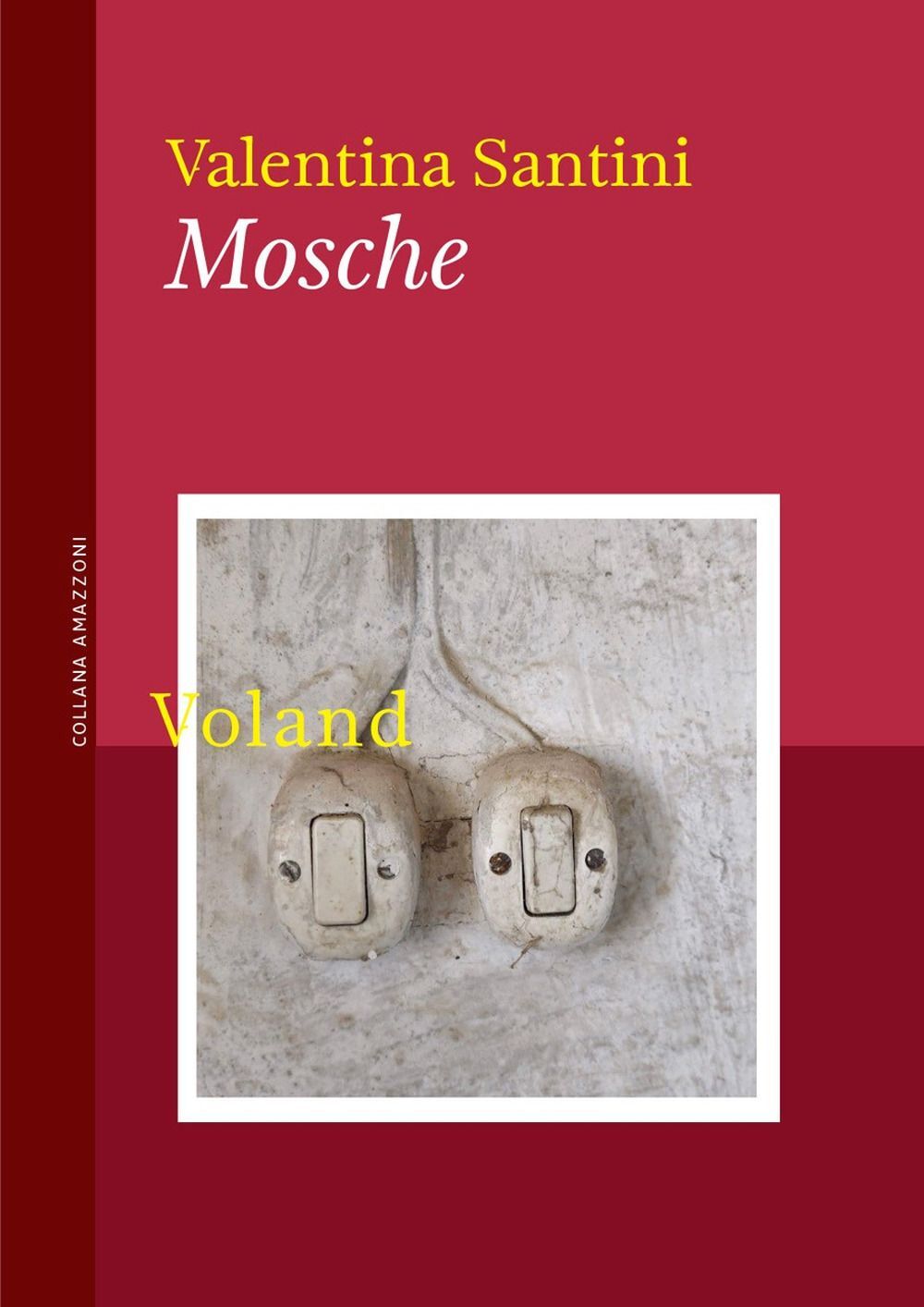 Libri Valentina Santini - Mosche