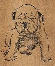 Squinting BullDog 2 x 2 1/4" Rubber Stamp, Dog Stamp, Dog Lover Stamp