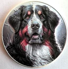 Bernese Mountain Dog - American Silver Eagle 1oz .999 Silver Dollar Coin
