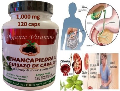 Chanca Piedra Capsules 1600mg Brise-pierre Péruvien - Antioxydant, Anti-inflammatoire, Tecepec