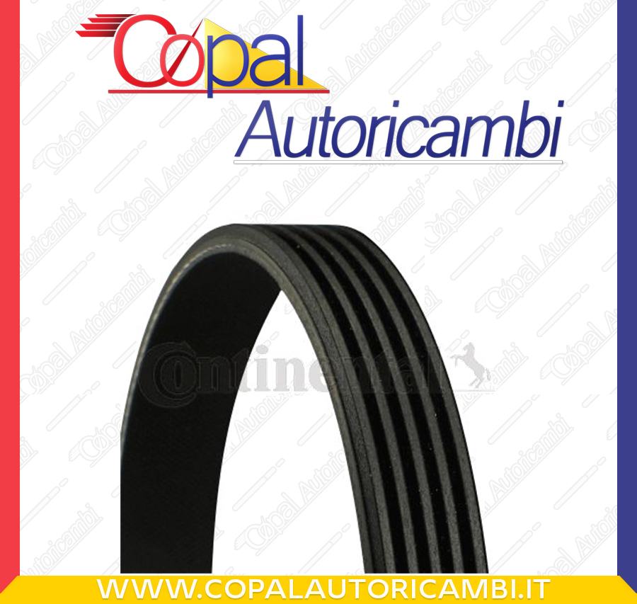 Cinghia Poly-V CONTITECH 5PK1355 per GENERAL MOTORS OPEL SUZUKI VAUXHALL
