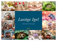 "Calendar 2027 · US Version · Funny Hedgehogs (Wall Calendar 2027 17\" × 12\" Lands"