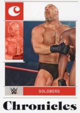 2022 Painin Chronicles WWE Card #73 Goldberg 