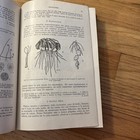 Picture 6 of 15