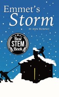 Ann Rubino | Emmet's Storm | Buch | Englisch (2015) | Gebunden | [.]