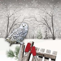 Servietten Winter Eule 33X33, 3334195