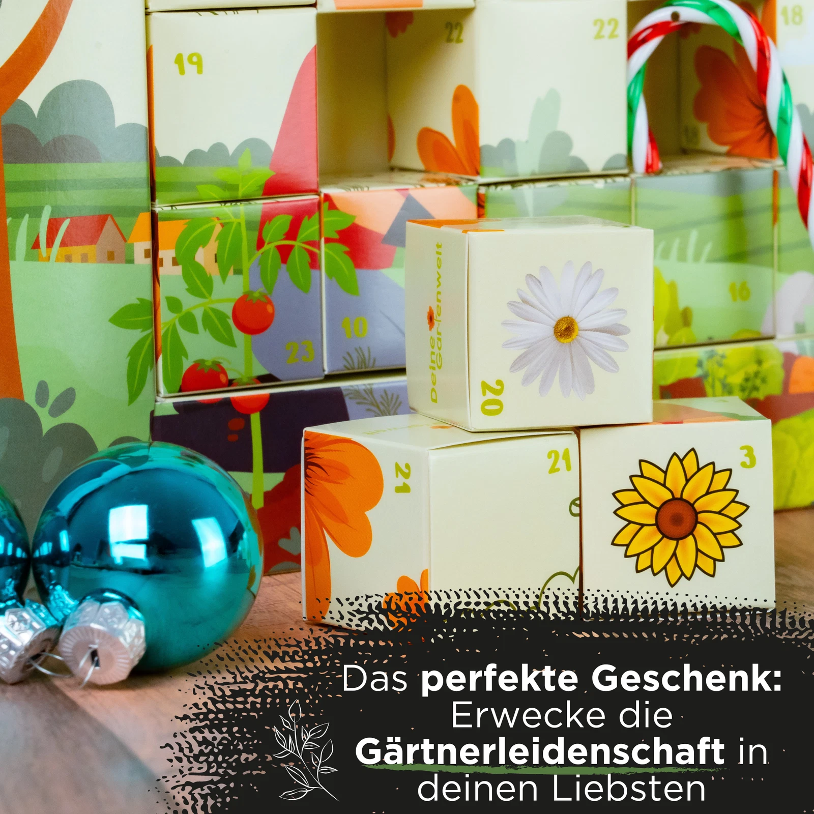 Bild 9 von 9