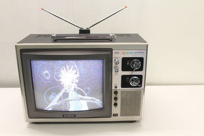 SONY TRINITRON CRT TUBE COLOR TV TELEVISION KV-1204 perfect for