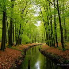 Digital picture Stream In The Forest PNG printable file