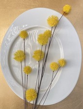 Pack Of 6 x RAK &ldquo;Allspice&rdquo;Cayenne Vitrified Porcelain White Oval Flat Plate 34cm