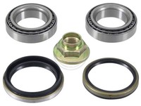 Radlagersatz A.B.S. 200231 FüR Kia Mazda Rio Dw Demio Dc 121 3 Jasm Jbsm 16V 1