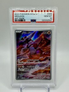 Groudon Raging Surf | eBay