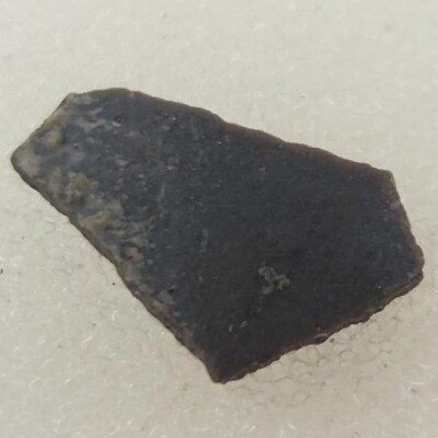 Unidentified Dinosaur Egg Shell Fossil (Orodromeus?) - Two Medicine Fm. - MT