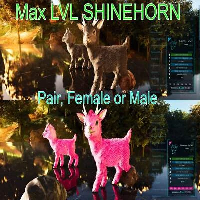 MY ARK ASCENDED Shinehorn / Lightpet Max Level 362 ASA🦖Ark Survival Ascended Pve