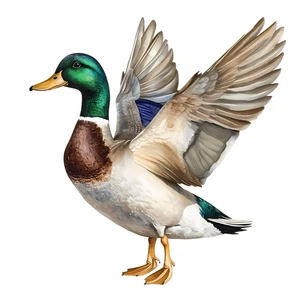 Duck Mallard Bird Self Adhesive Vinyl Sticker