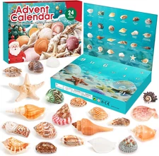 Advent Calendar 2025 - Christmas Countdown Calendars 24 Days of Unique Seashell