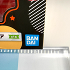 Bild 10 von 16