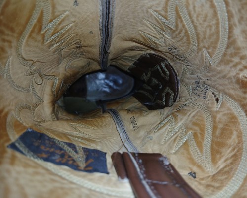 **TONY LAMA** Gold Label - Elephant - Men's 8.5D - Amazing Boots - Very Nice!!! - Picture 5 of 7