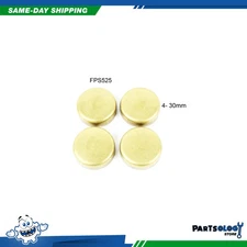 DNJ FPS525 Expansion Plug Kit For 89-95 Geo Tracker 1.6L L4 SOHC 16v 8v